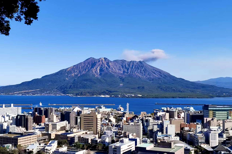 「農畜産物王国」鹿児島から、とっておきのおいしさを全国へ