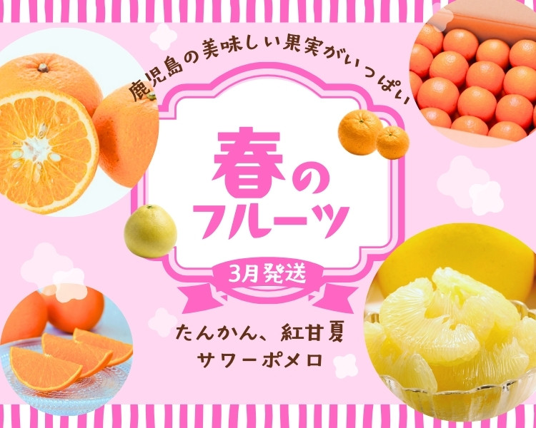 鹿児島県の春のフルーツ：3月発送：たんかん、紅甘夏、サワーポメロ