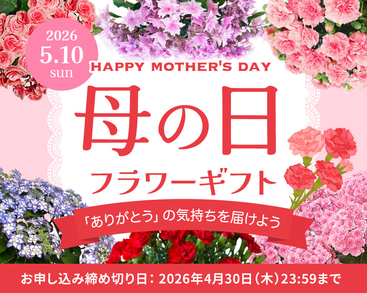 母の日フラワーギフト2026