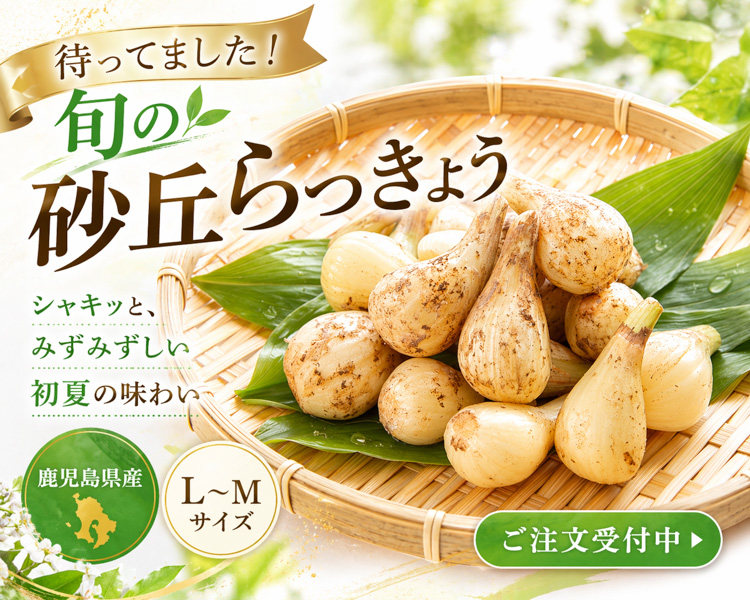 鹿児島県産 砂丘らっきょう L〜Mサイズ