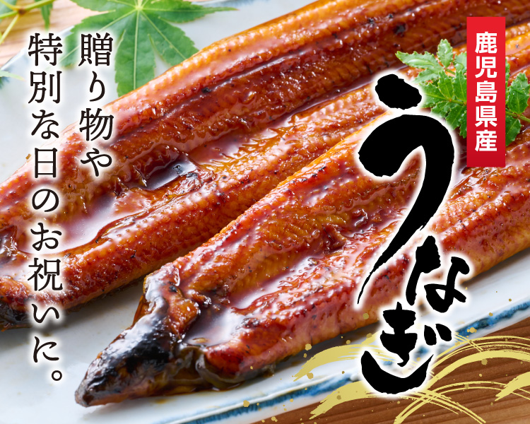 鹿児島県産うなぎ