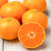 温州みかん