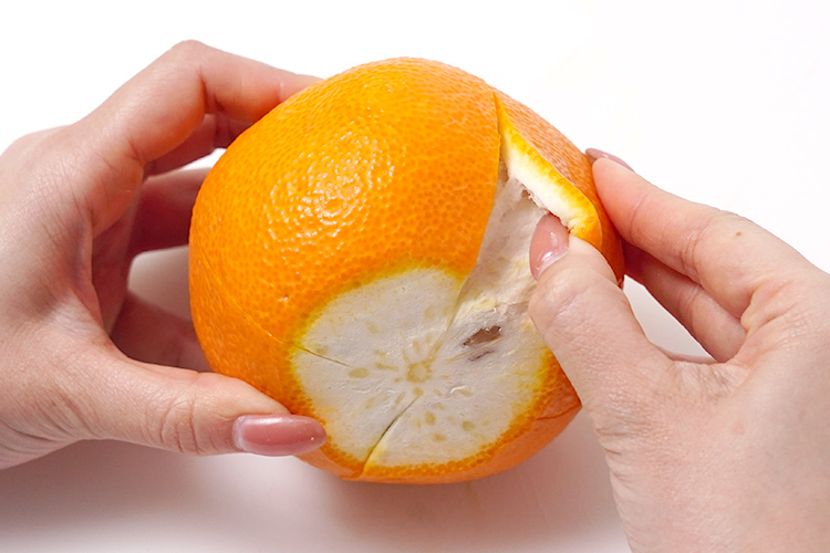 切れ込みの近くから指を差し込みます