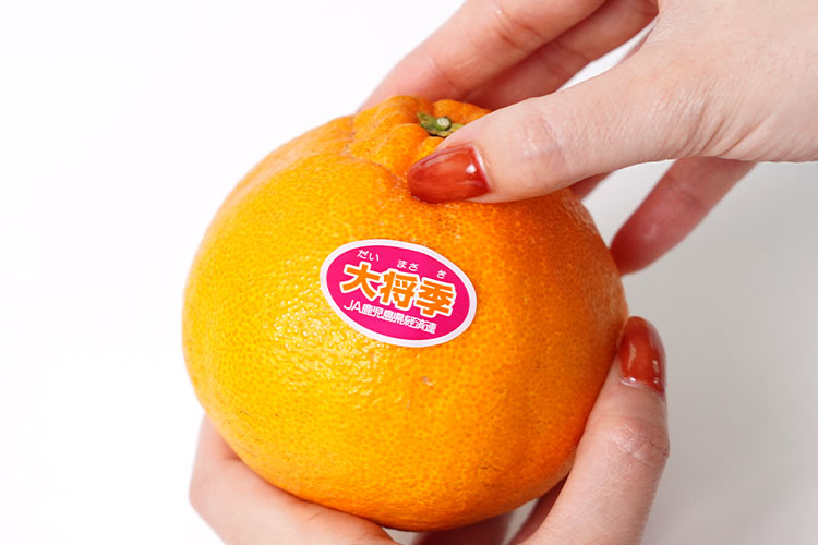 特徴的なデコ（突起）の部分をはずしましょう