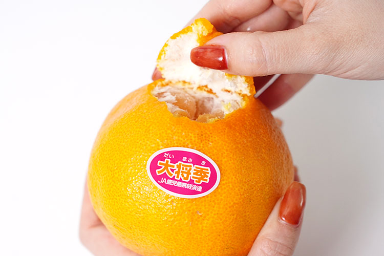 デコ（突起）をはずすと皮に隙間ができるので、そこから指先を入れて剥き進めていきます