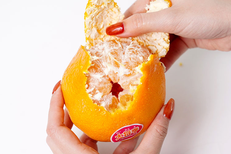 そのまま丸ごと剥き進めるのもOK