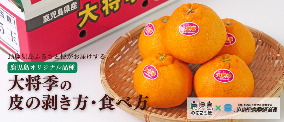 鹿児島オリジナル品種「大将季」の剥き方ガイド