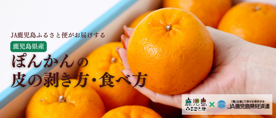 JA鹿児島ふるさと便がお届けする、鹿児島県産「ぽんかん」の皮の剥き方