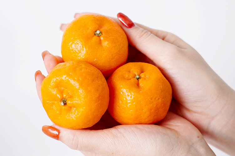 桜島小みかんのご購入はこちら