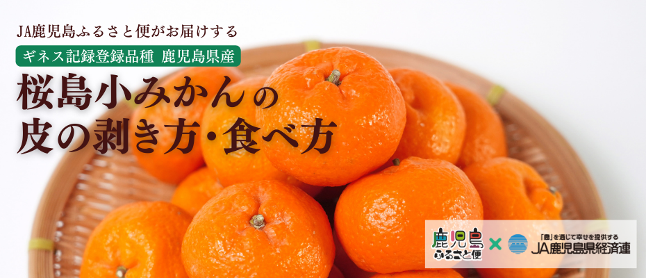 ギネス記録にも登録された、世界一小さい鹿児島県産「桜島小みかん」の剥き方・食べ方