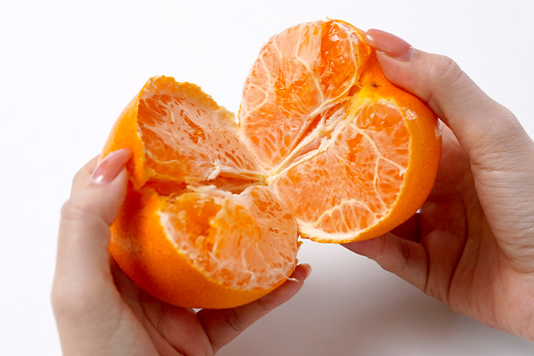 左右に開くようにして、パカッと2つに割ります