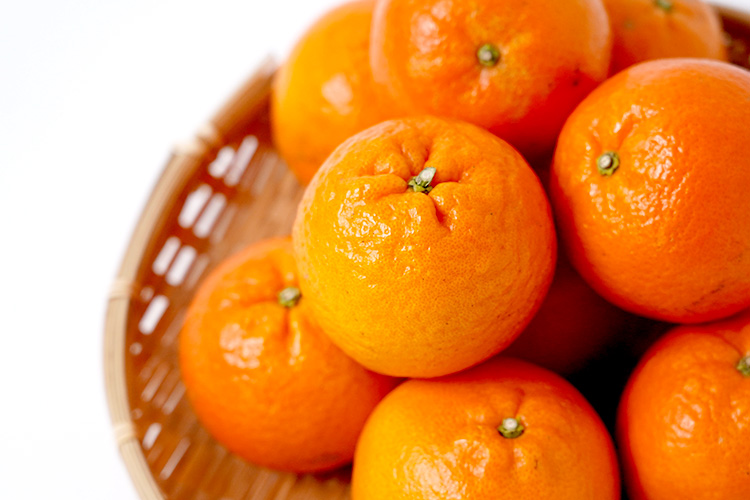 上下の部分をカットし、半分に1