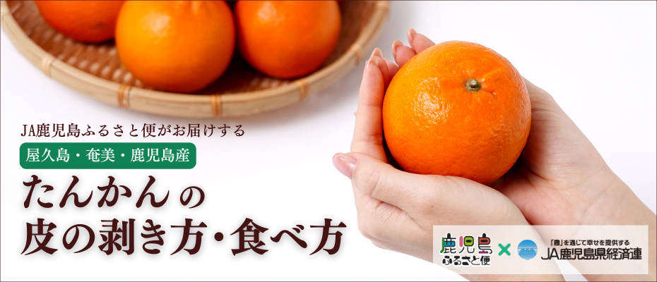 濃厚な甘み、溢れる果汁。柑橘の王様「たんかん」を味わいつくす。