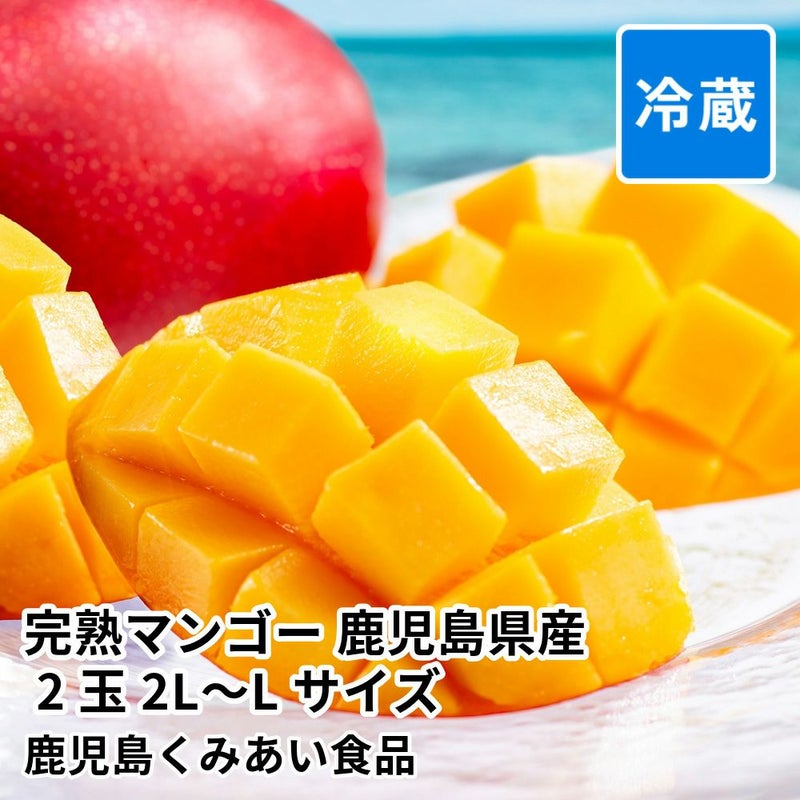 完熟マンゴー 鹿児島県産 2玉 2L～Lサイズ パック入の商品画像01