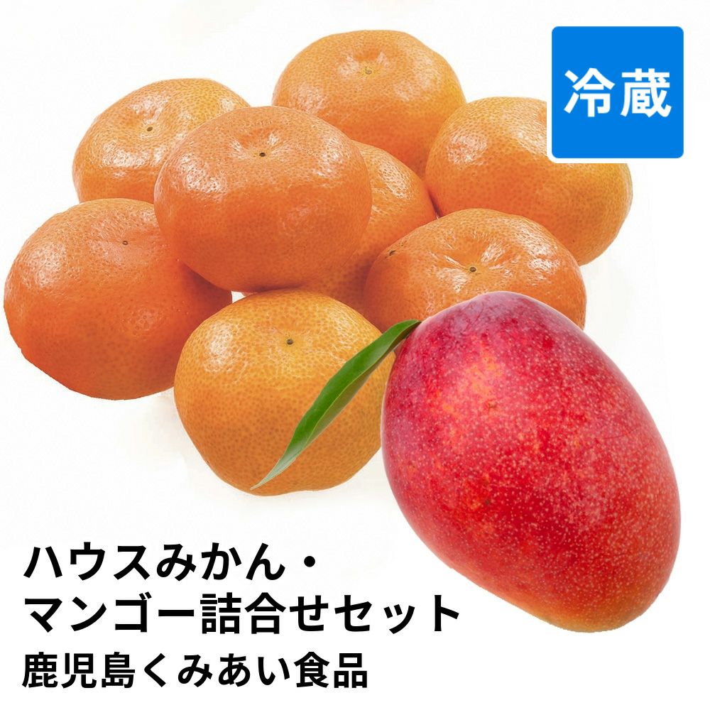 マンゴーのギフト通販・お取り寄せ | JA鹿児島ふるさと便【公式】