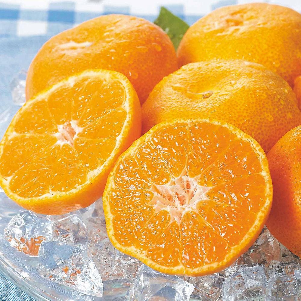 ハウスみかん・マンゴー詰合せセットの商品画像02