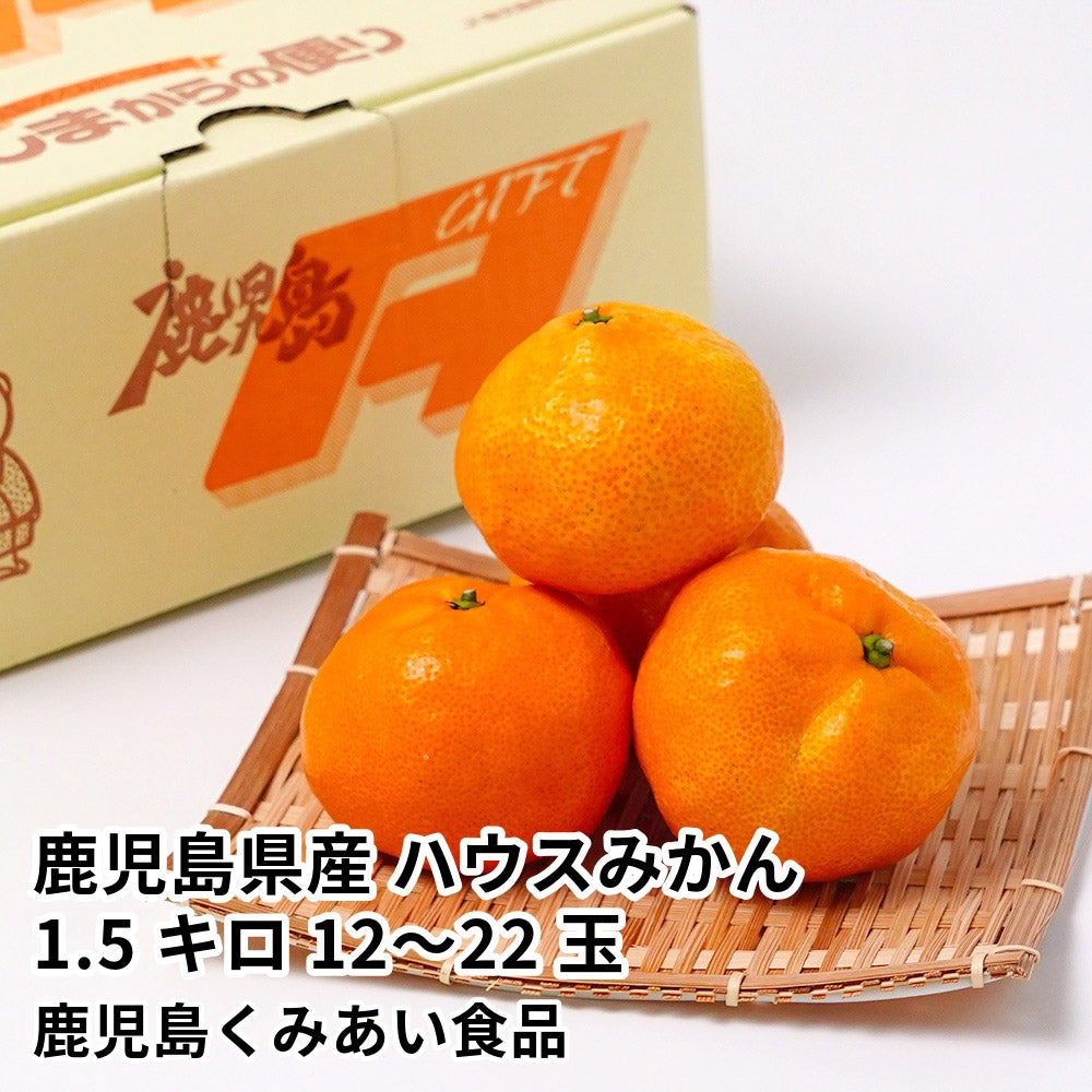 鹿児島県産 ハウスみかん 1.5キロ 12～22玉 L～Sサイズの商品画像01