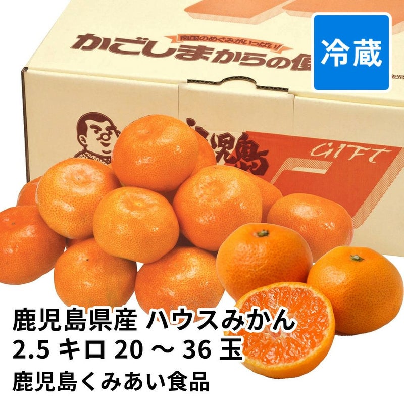 鹿児島県産 ハウスみかん 2.5キロ 20～36玉 L～Sサイズの商品画像01