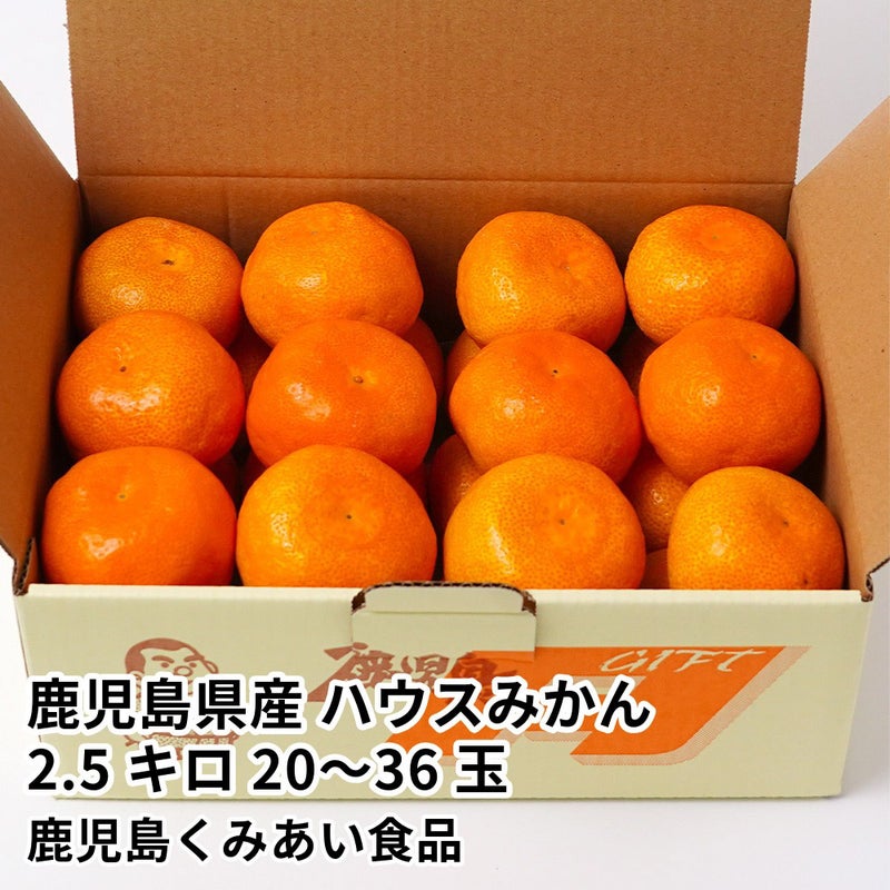 鹿児島県産 ハウスみかん 2.5キロ 20～36玉 L～Sサイズの商品画像01
