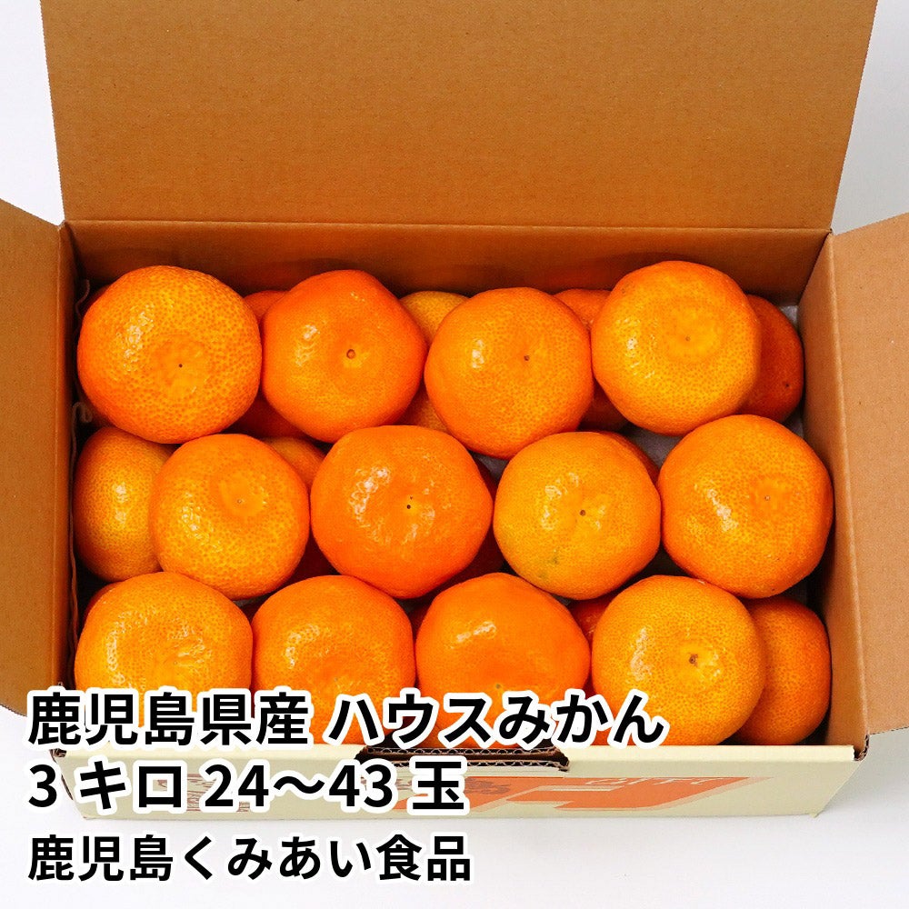 鹿児島県産 ハウスみかん 3キロ 24～43玉 L～Sサイズの商品画像01