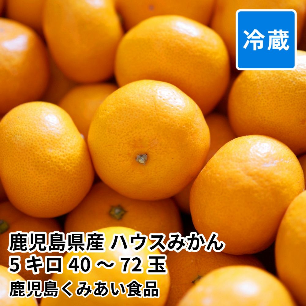 鹿児島県産 ハウスみかん 5キロ 40～72玉 L～Sサイズの商品画像01