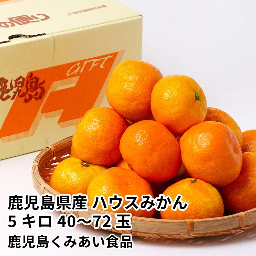 鹿児島県産 ハウスみかん 5キロ 40～72玉 L～Sサイズの商品画像01