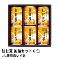 紅甘夏 缶詰セット 295グラム×6缶 | JA鹿児島いずみの商品画像01