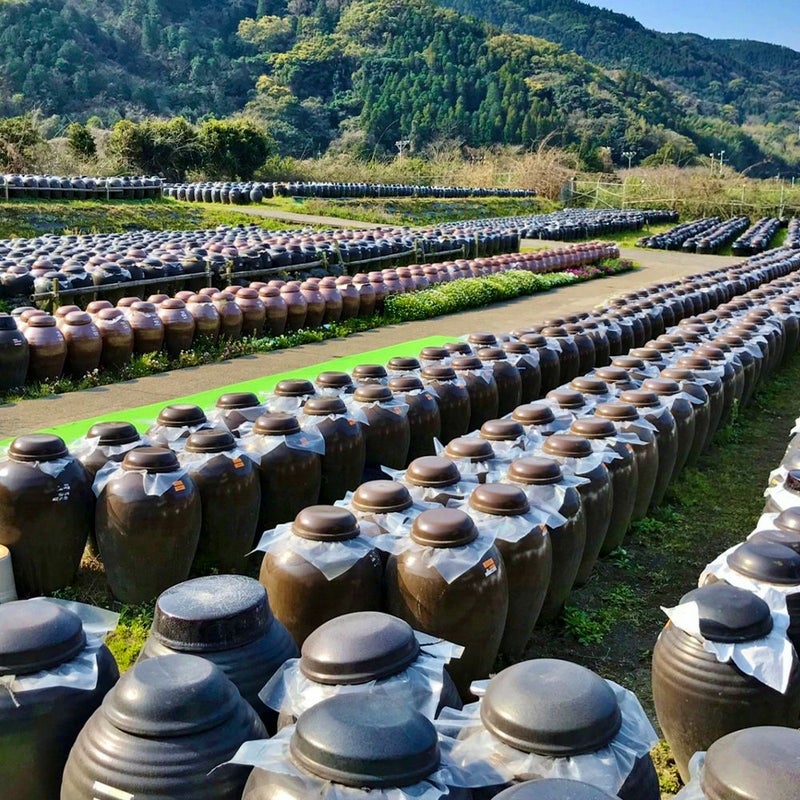 カクイダ クラフトビール 定番6本セット | 福山黒酢の商品画像02