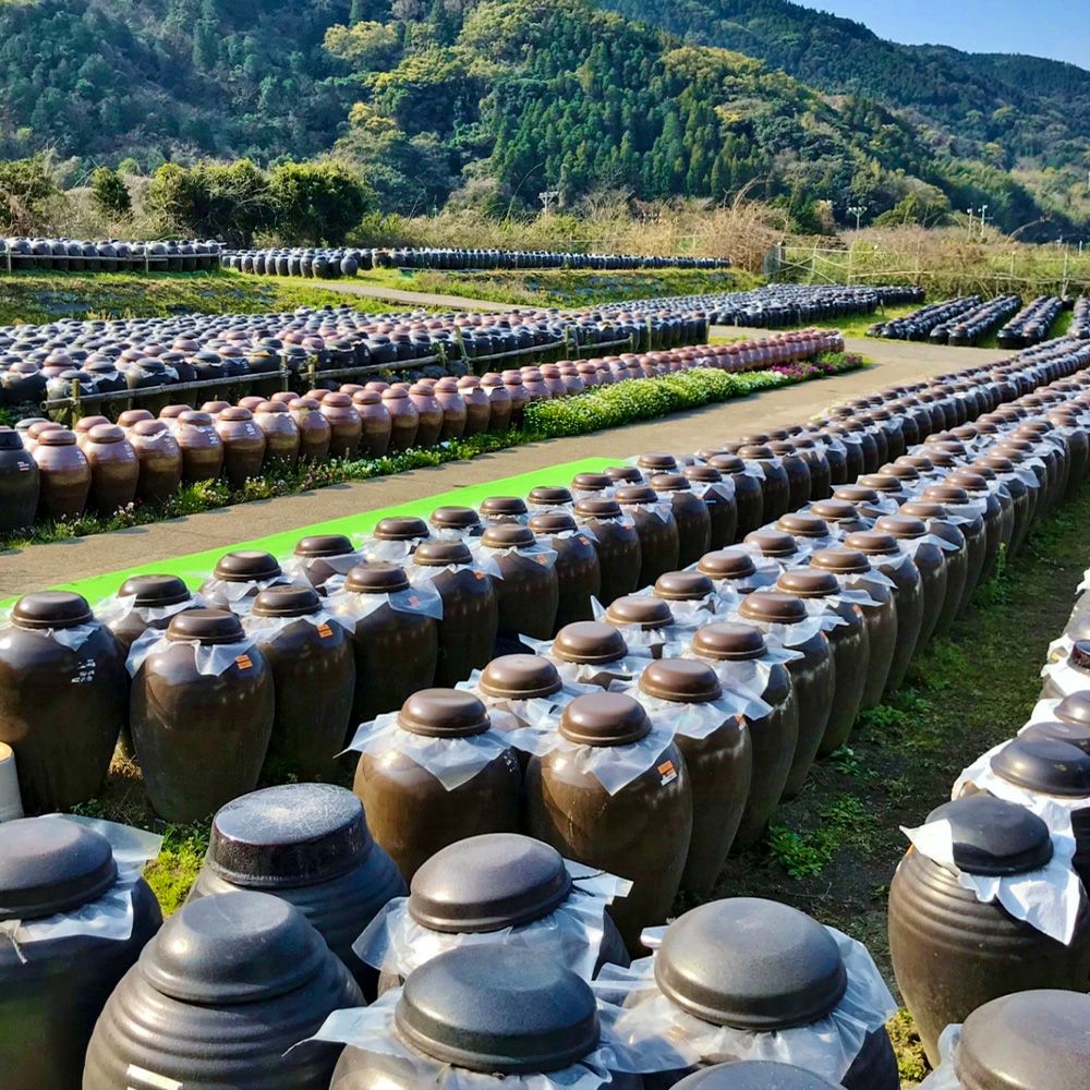 有機桷志田&生フルーツ黒酢セット 100ml×4本の通販・お取り寄せ | JA