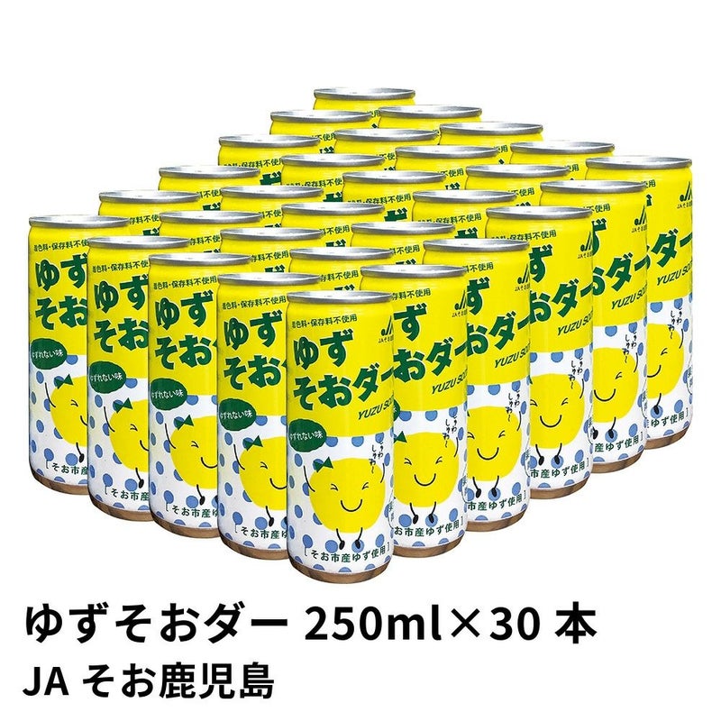 ゆずそおダー 250ml×30本 | JAそお鹿児島の商品画像01