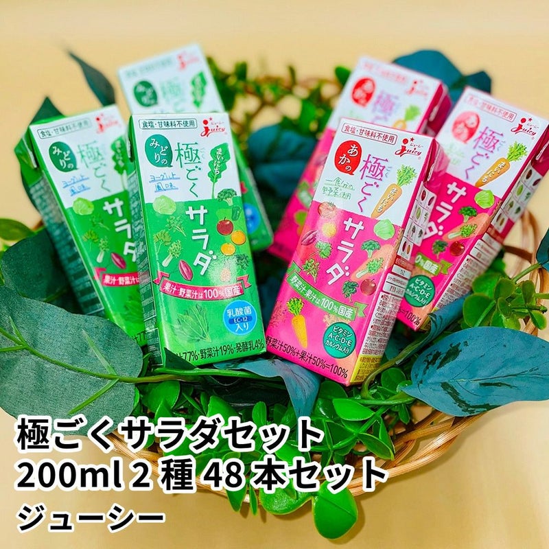 野菜ジュース まいにち極ごくサラダセット みどり・あか 200ml 2種 48本セット | ジューシーの商品画像01
