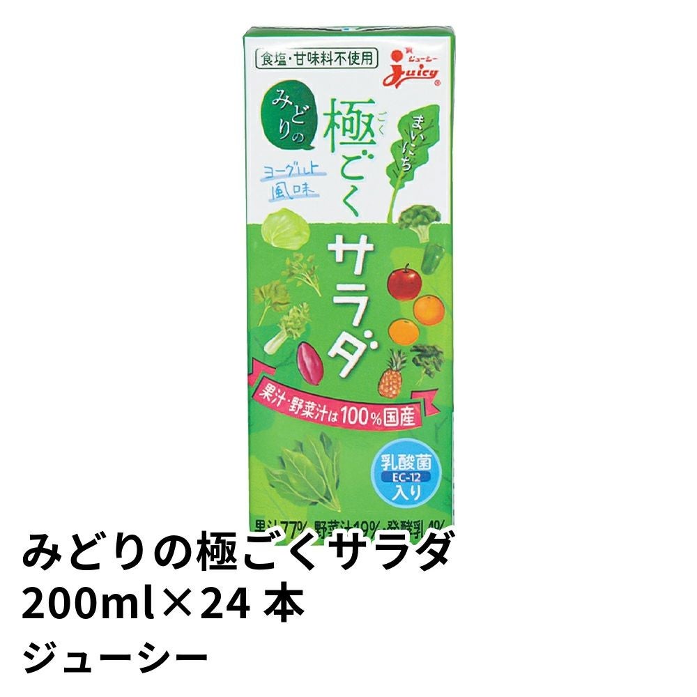 野菜ジュース まいにちみどりの極ごくサラダ 200ml×24本 | ジューシーの商品画像01