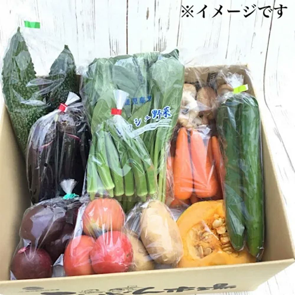鹿児島県産野菜・果物セット Mサイズ 8～10品目の通販 | JA鹿児島