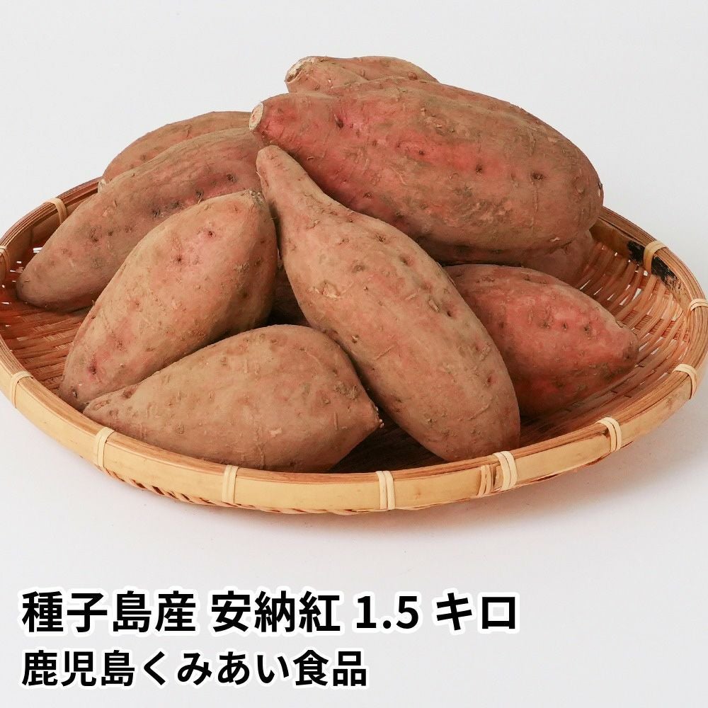 種子島産 安納紅 生芋 1.5キロ 5～8本 2L～Mサイズの商品画像01
