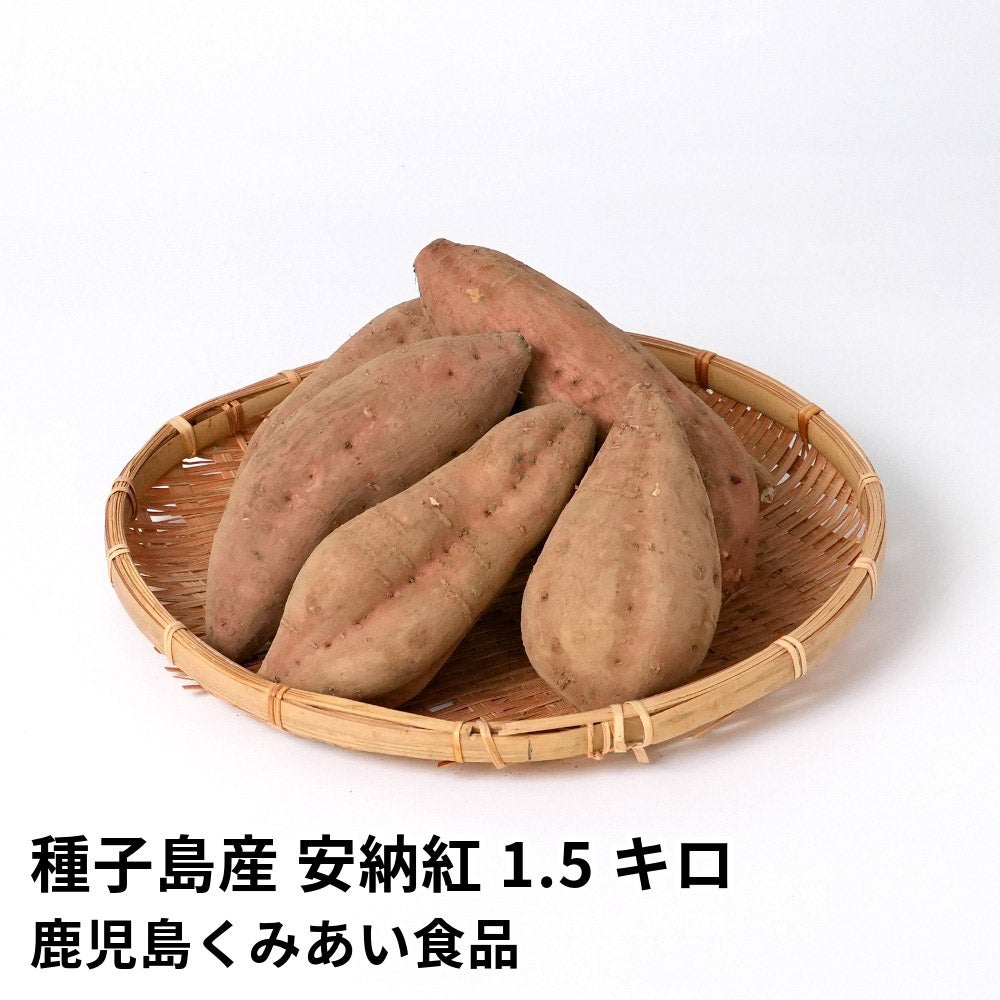 種子島産 安納紅 生芋 1.5キロ 5～8本 2L～Mサイズの商品画像01