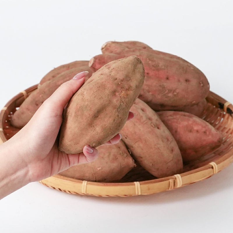 種子島産 安納紅 生芋 1.5キロ 5～8本 2L～Mサイズの商品画像02