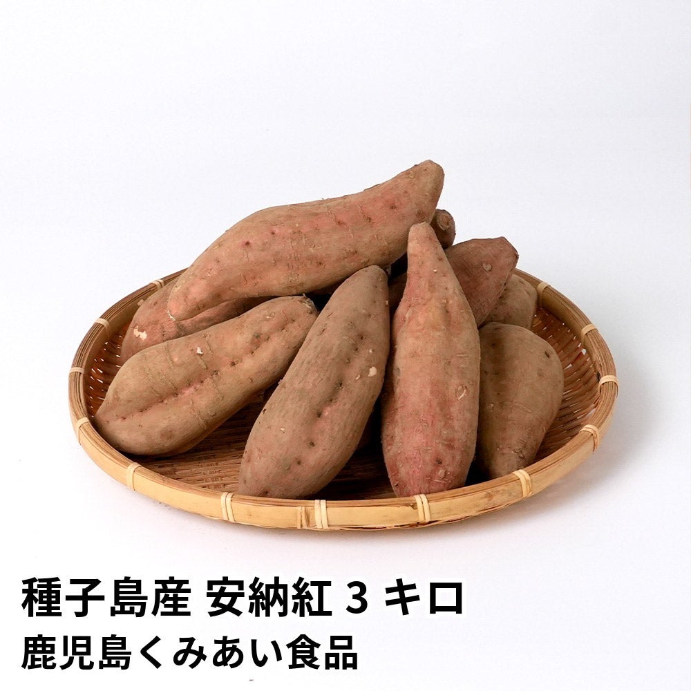 種子島産 安納紅 生芋 3キロ 8～15本 2L～Mサイズの商品画像01