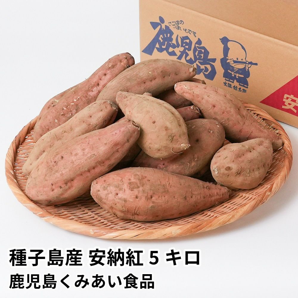 種子島産 安納紅 生芋 5キロ 13～22本 2L～Mサイズの商品画像01