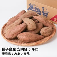 種子島産 安納紅 生芋 5キロ 13～22本 2L～Mサイズの商品画像01