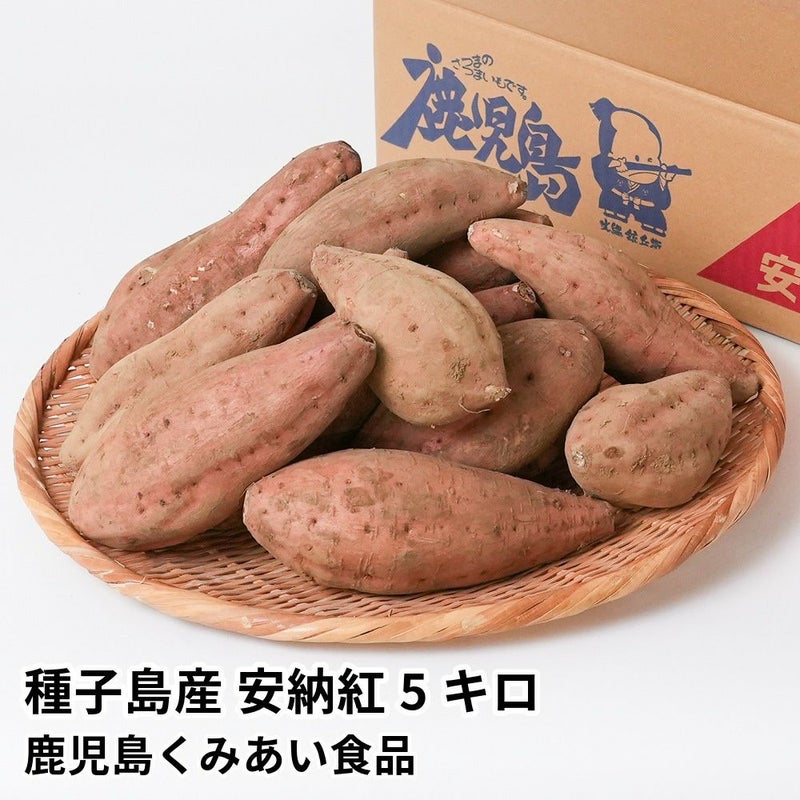 種子島産 安納紅 生芋 5キロ 13～22本 2L～Mサイズの商品画像01