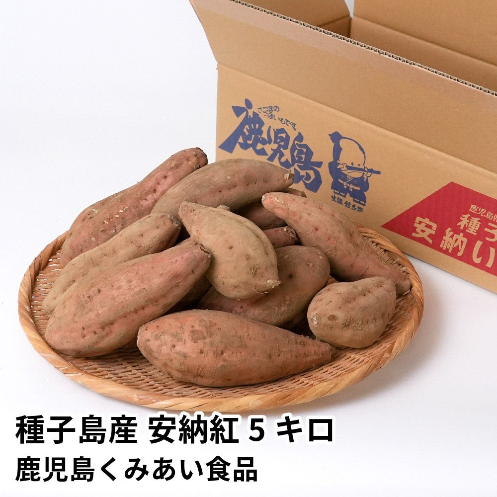 種子島産 安納紅 生芋 5キロ 13～22本 2L～Mサイズの商品画像01