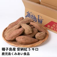 種子島産 安納紅 生芋 5キロ 13～22本 2L～Mサイズの商品画像01