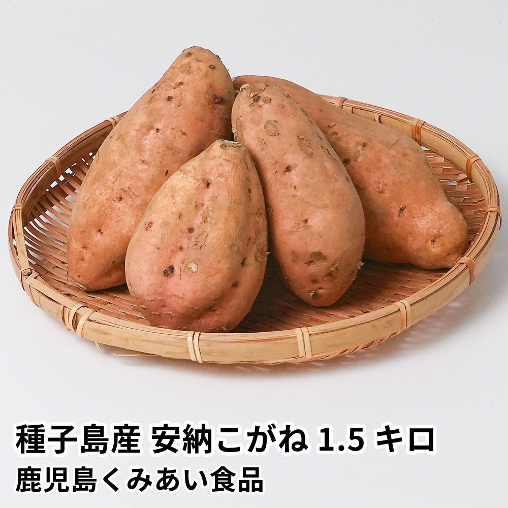 芋兄弟　ワケあり安納芋　こがね　コロコロサイズ17キロ 日本国内発送・信頼対応 さつまいも ワケあり安納芋 コロコロサイズ17キロ