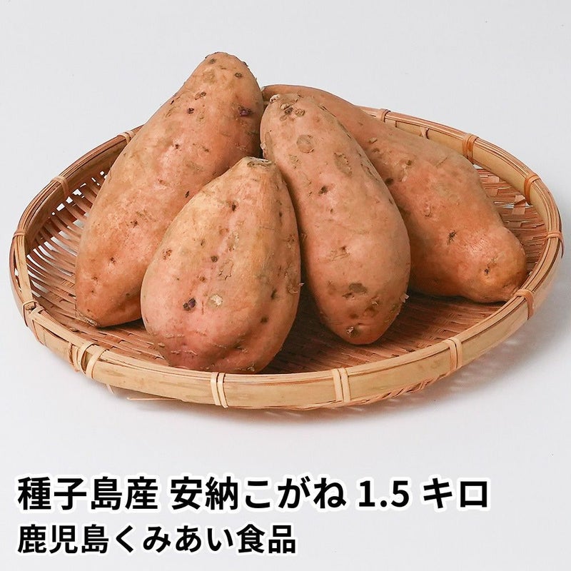 種子島産 安納こがね 生芋 1.5キロ 5～8本 2L～Mサイズの商品画像01