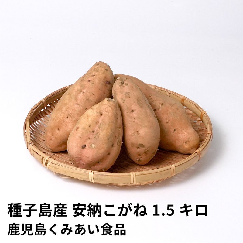 種子島産 安納こがね 生芋 1.5キロ 5～8本 2L～Mサイズの商品画像01