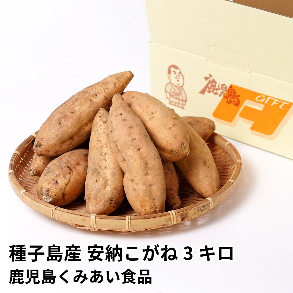 種子島産 安納こがね 生芋 3キロ 8～15本 2L～Mサイズの商品画像01