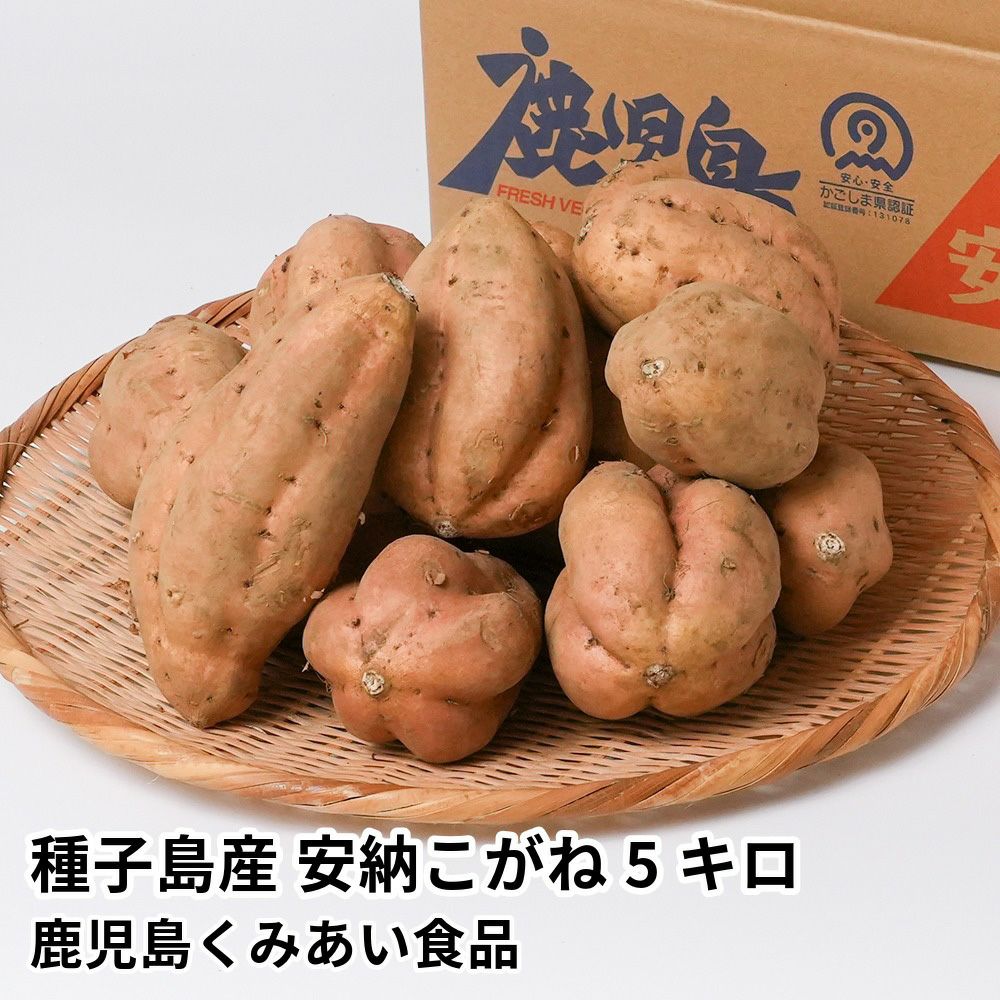 種子島産 安納こがね 生芋 5キロ 13～22本のギフト通販・お取り寄せ