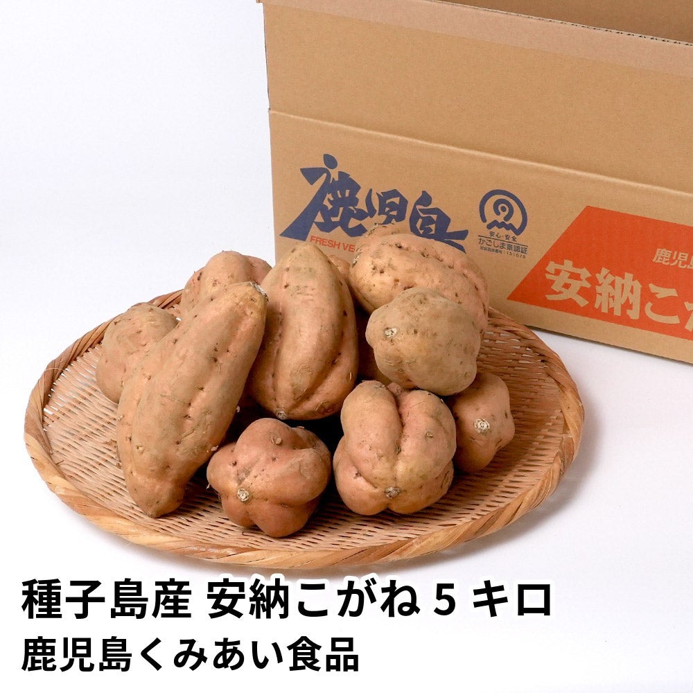 種子島産 安納こがね 生芋 5キロ 13～22本 2L～Mサイズの商品画像01