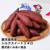 鹿児島県産 シルクスイート 生芋 5キロ 13～22本 2L～Mサイズの商品画像01