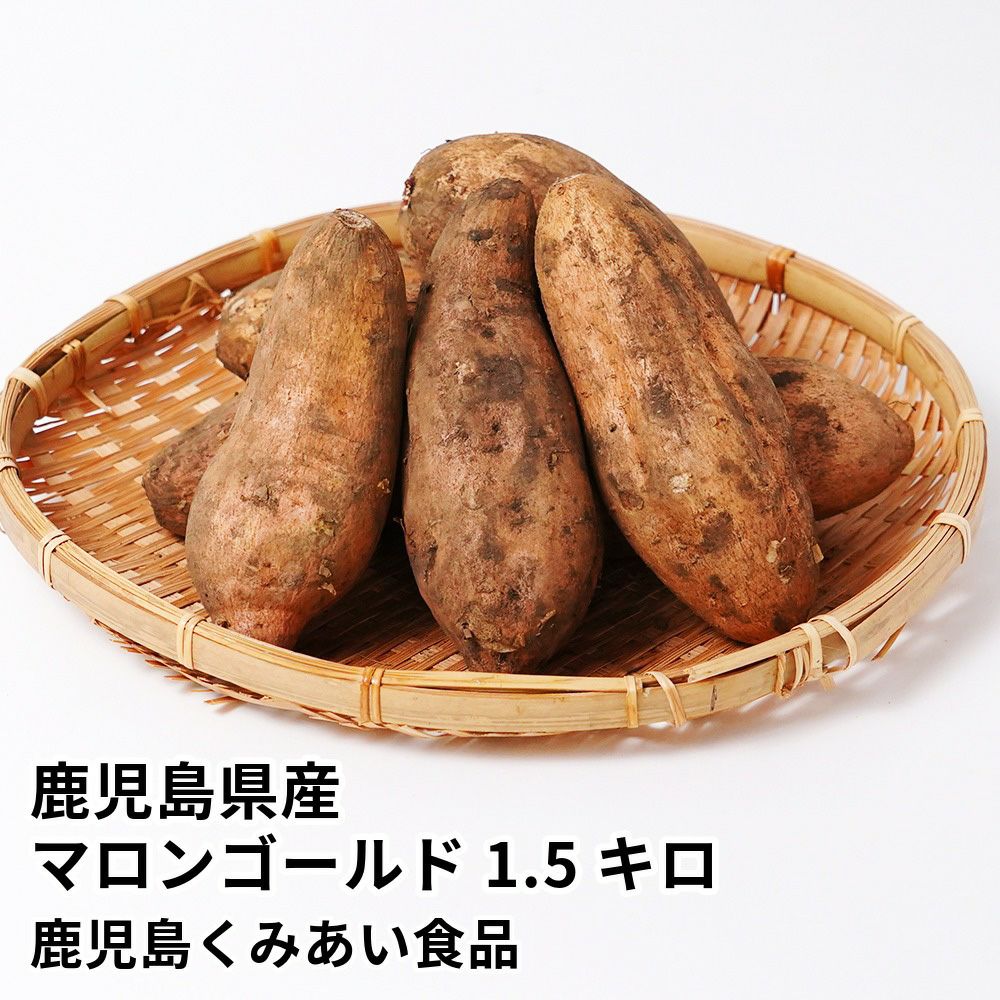 鹿児島県産 マロンゴールド 生芋 1.5キロ 5～8本 2L～Mサイズの商品画像01